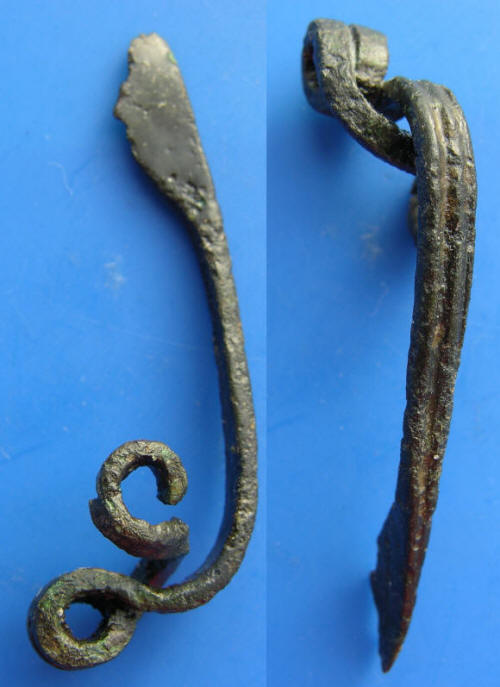 fibula