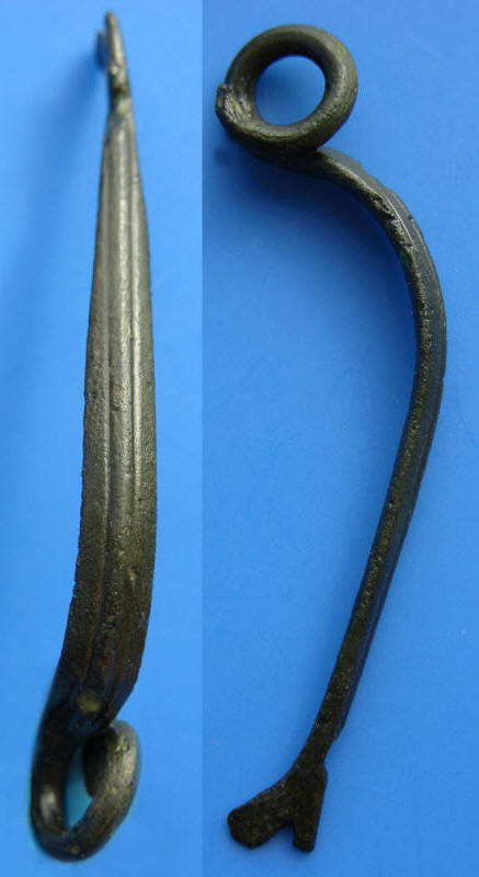 fibula