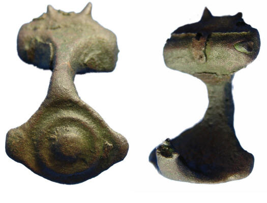 fibula