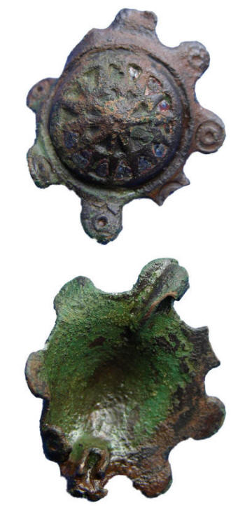 fibula