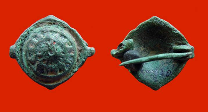 fibula