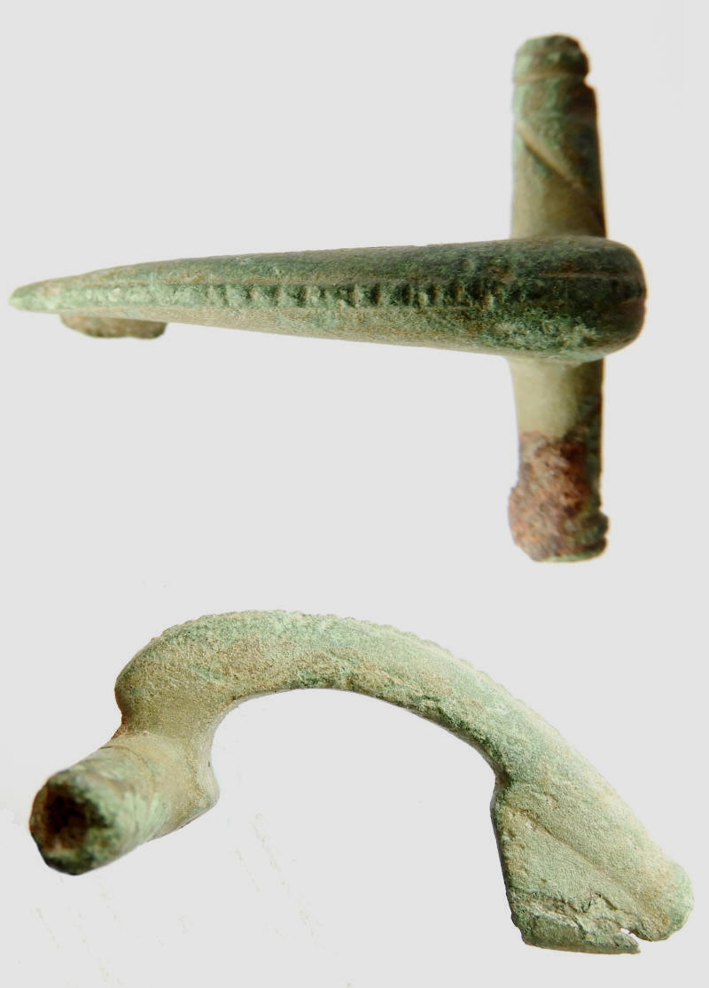 fibula