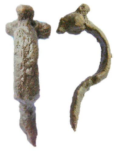 fibula