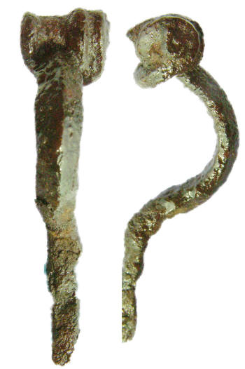 fibula