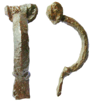 fibula