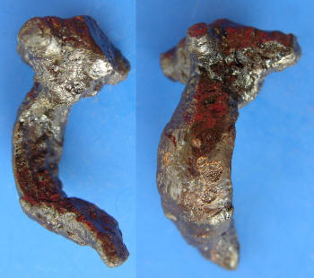 fibula