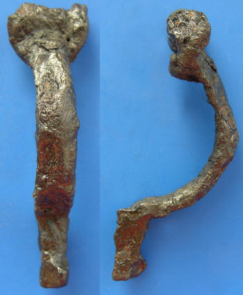 fibula