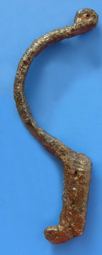 fibula