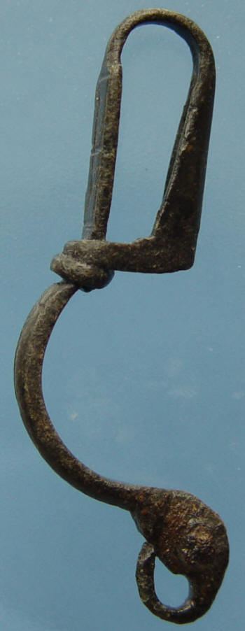 fibula