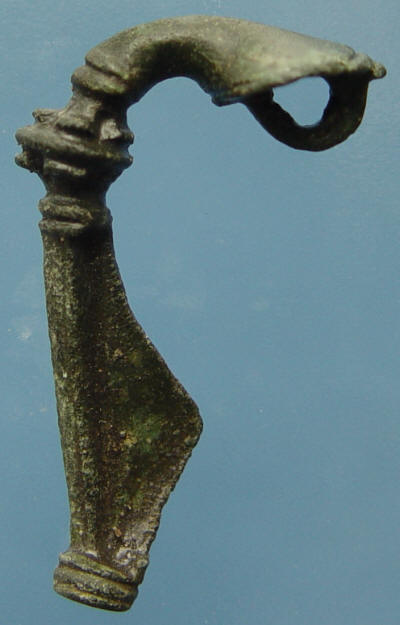 fibula