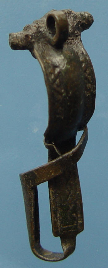 fibula