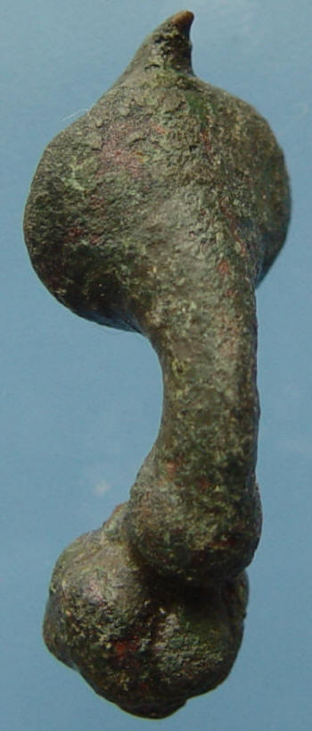 fibula