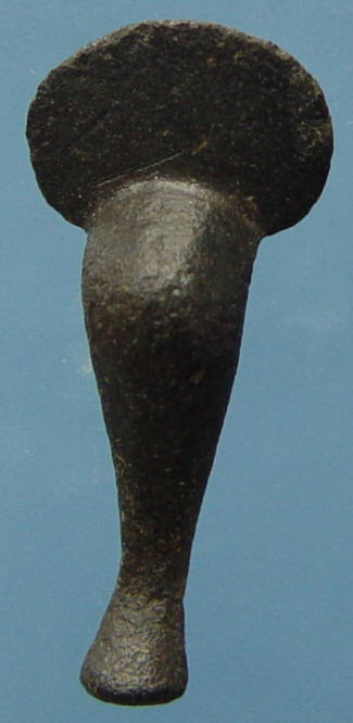 fibula